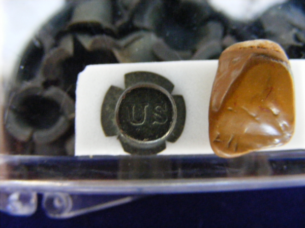 Unfired U.S. stamped Percussion cap and a human (#9 front) male tooth.